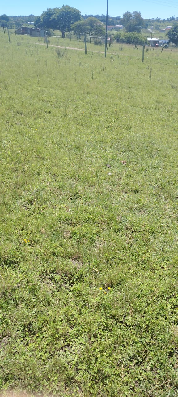  Bedroom Property for Sale in Macleantown Eastern Cape